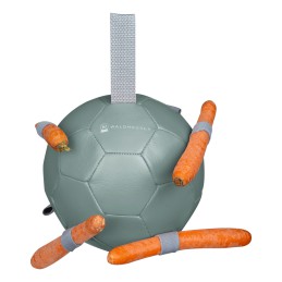 Wortelbal