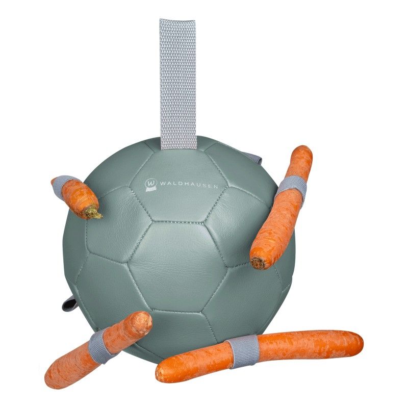 Wortelbal