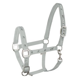 Paardenhalstertje