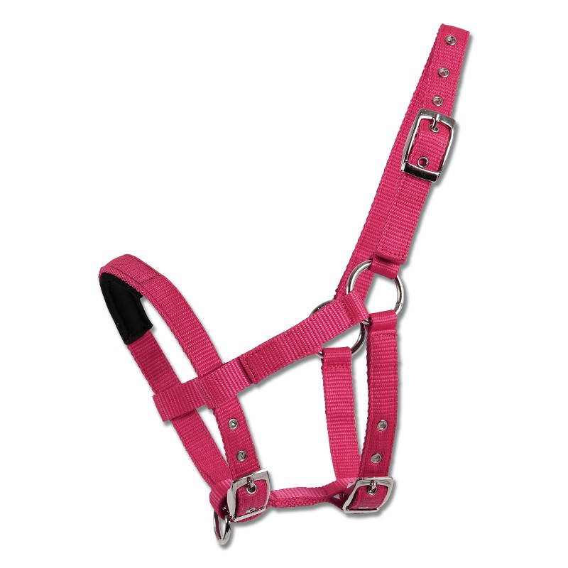 Halster voor Mini-Shetty