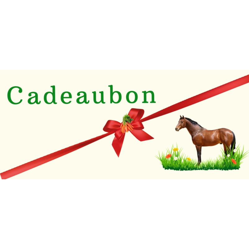 Cadeaubon Giftcard €20,-