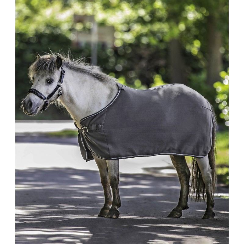 ECONOMISCHE Fleecedeken