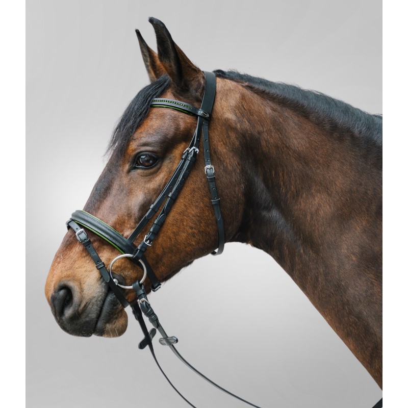 STAR Hoofdstel Diamant